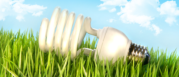 Family Purchasing Power: Eco-Friendly Style