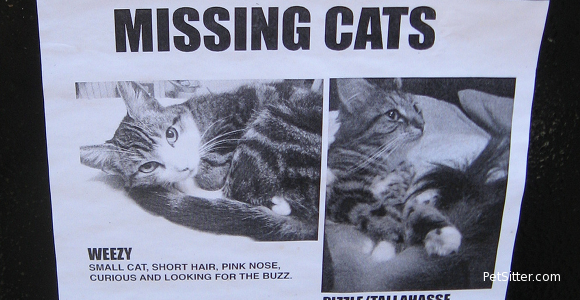 Finding A Lost Pet