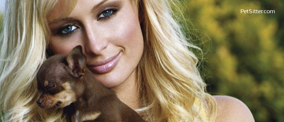 The Fabulous Life Of Celebrity Pets